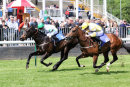 Race 1 - Green Power (9)