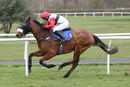 Race 1 - Haasab (6)