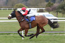 Race 1 - Haasab (7)