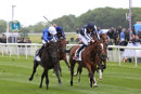 Race 1 - Hamada (2)