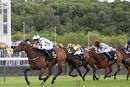 Race 1 - Honey Sweet (12)