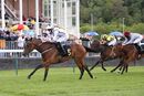 Race 1 - Honey Sweet (13)