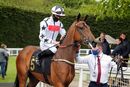 Race 1 - Honey Sweet (2)