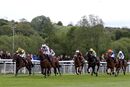 Race 1 - Honey Sweet (5)