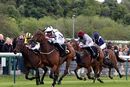Race 1 - Honey Sweet (8)