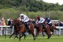 Race 1 - Honey Sweet (9)