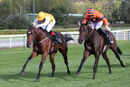 Race 1 - Inver Park (11)