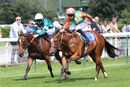 Race 1 - Ishvara (3)