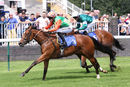 Race 1 - Ishvara (8)