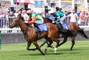 Race 1 - Ishvara (9)