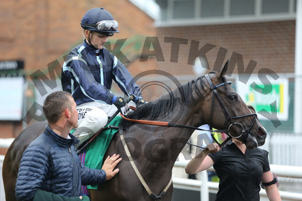 Race 1 - Izvestia (2)