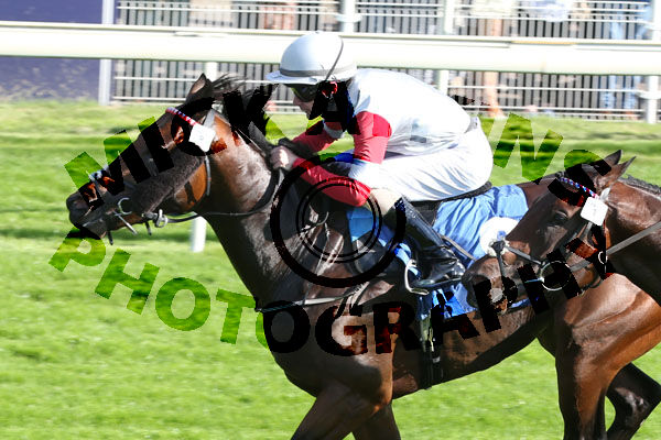 Race 1 - Josies Kid (2)