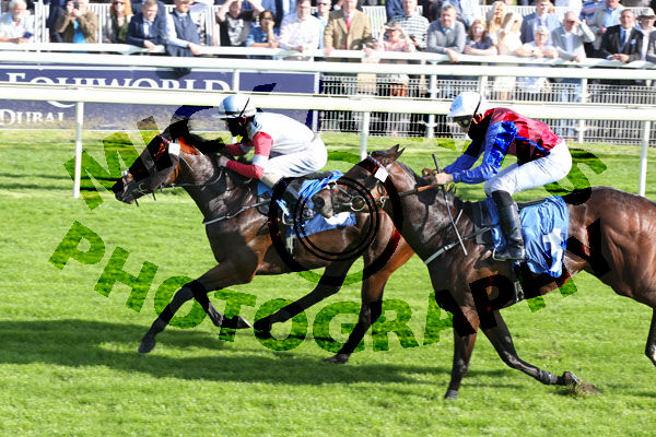 Race 1 - Josies Kid (3)