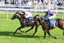 Race 1 - Josies Kid (3)
