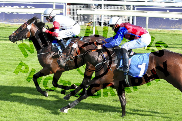 Race 1 - Josies Kid (5)