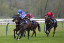 Race 1 - Just Maybe (4)