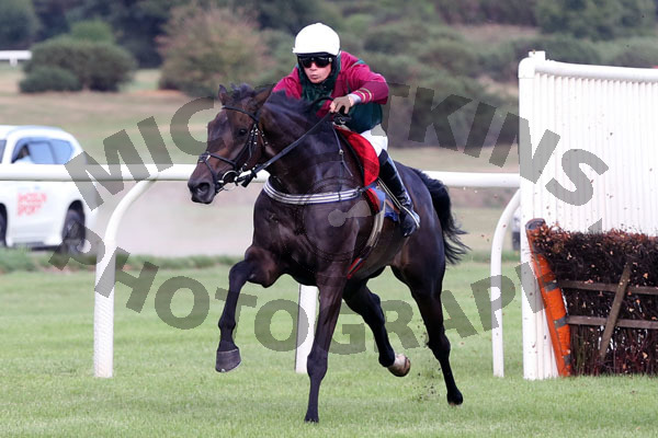 Race 1 - King Alfonso (5)