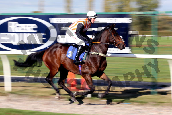 Race 1 - L Chamise (2)