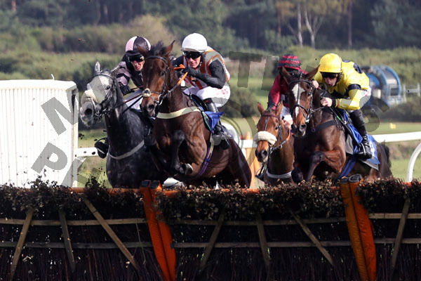 Race 1 - L Chamise (4)