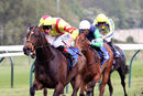 Race 1 - Lady Fanditha (2)