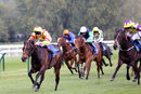 Race 1 - Lady Fanditha (4)