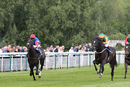 Race 1 - Lady Monica (6)