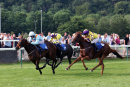 Race 1 - Lexington Grace (3)