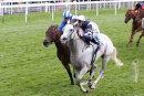 Race 1 - Lord Glitters (2)001