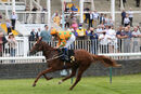 Race 1 - Love De Vega (10)