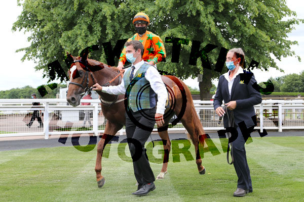 Race 1 - Love De Vega (11)