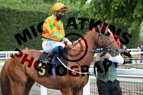 Race 1 - Love De Vega (2)