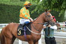 Race 1 - Love De Vega (2)