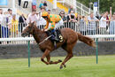 Race 1 - Love De Vega (7)