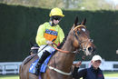 Race 1 - Major Valentine (3)