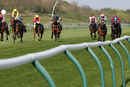 Race 1 - Major Valentine (5)