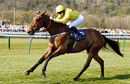 Race 1 - Major Valentine (6)