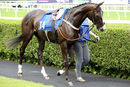 Race 1 - Maria Magdalena (2)