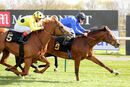 Race 1 - Mashhoor (5)