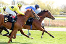 Race 1 - Mashhoor (7)