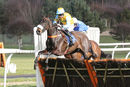 Race 1 - Mega Yeats (7)