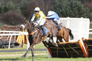 Race 1 - Mega Yeats (8)