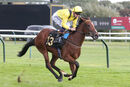 Race 1 - Meredif (12)