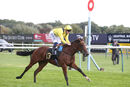 Race 1 - Meredif (14)