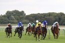 Race 1 - Meredif (3)