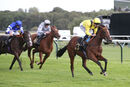 Nottingham Races (29 Sep 21)