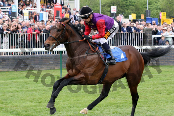 Race 1 - Merlin (11)