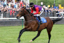 Race 1 - Merlin (11)