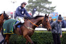 Race 1 - Minella Fiveo (10)