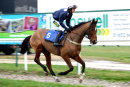 Race 1 - Minella Fiveo (2)