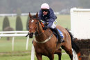 Race 1 - Minella Fiveo (6)